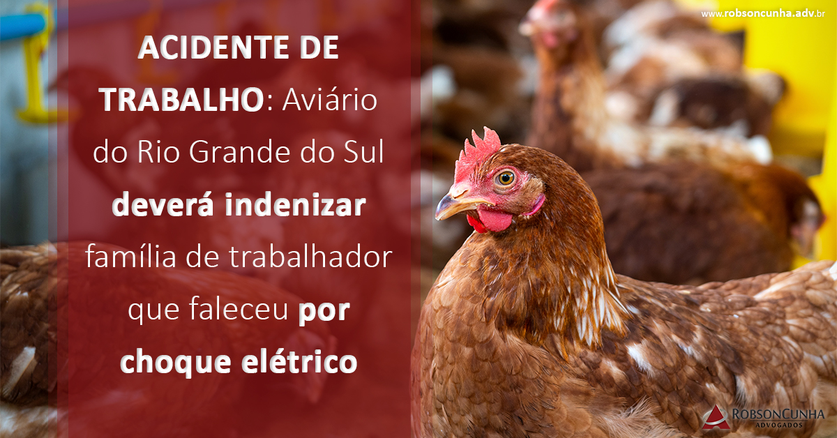 ACIDENTE DE TRABALHO: Aviário do Rio Grande do Sul deverá indenizar família de trabalhador que faleceu por choque elétrico